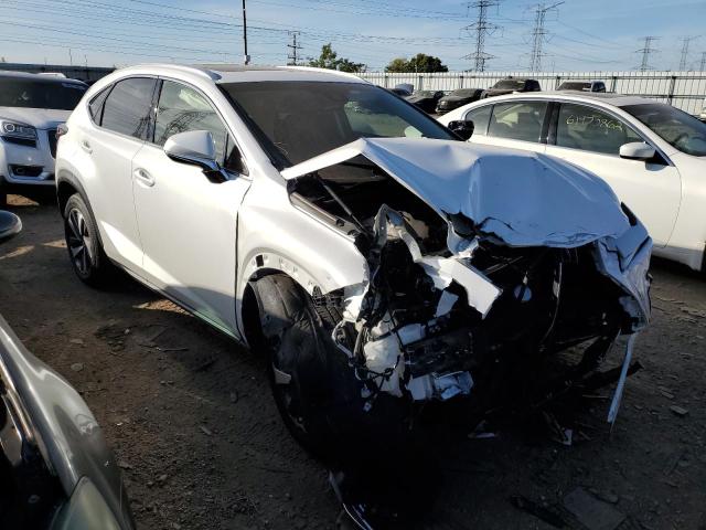 LEXUS NX 300 BAS 2019 jtjbarbz5k2210782