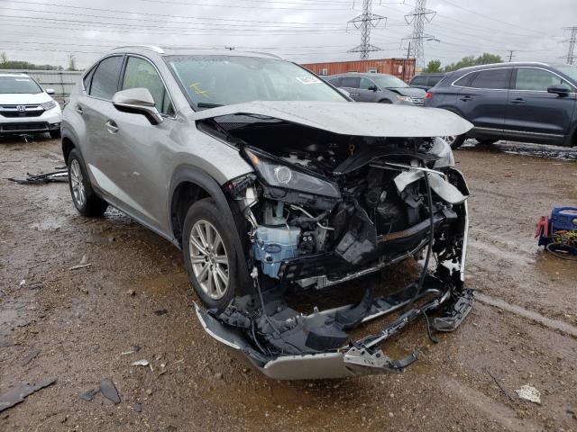 LEXUS NX 300 BAS 2019 jtjbarbz5k2214251