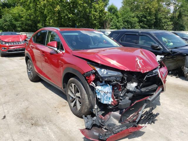 LEXUS NX 300 BAS 2019 jtjbarbz5k2216825