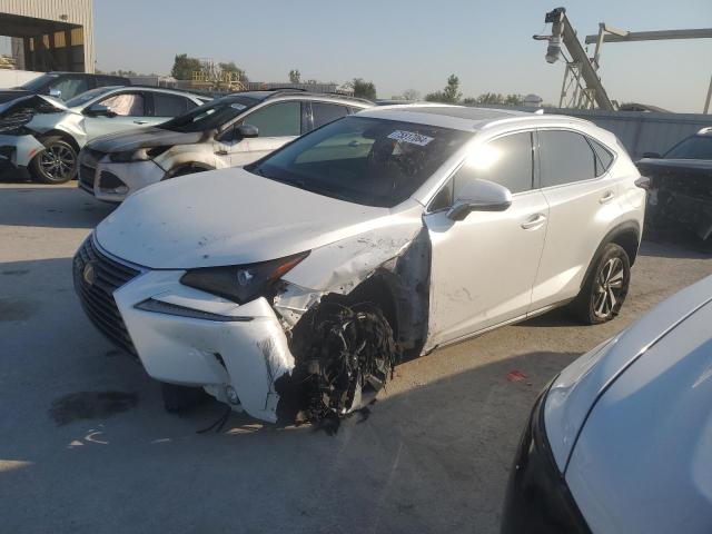 LEXUS NX 300 BAS 2019 jtjbarbz6k2184886