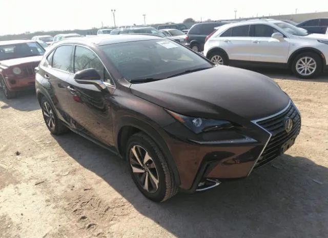 LEXUS NX 2019 jtjbarbz6k2190476