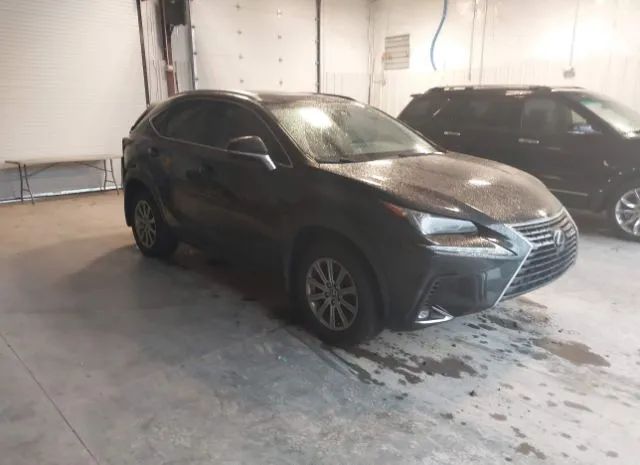 LEXUS NX 2019 jtjbarbz6k2190784