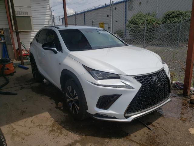 LEXUS NX 300 BAS 2019 jtjbarbz6k2196715