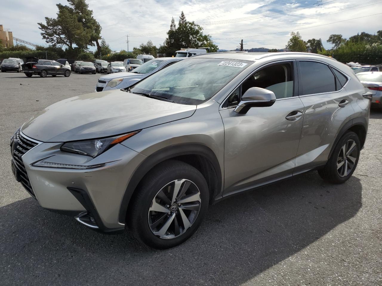 LEXUS NX 2019 jtjbarbz6k2198979