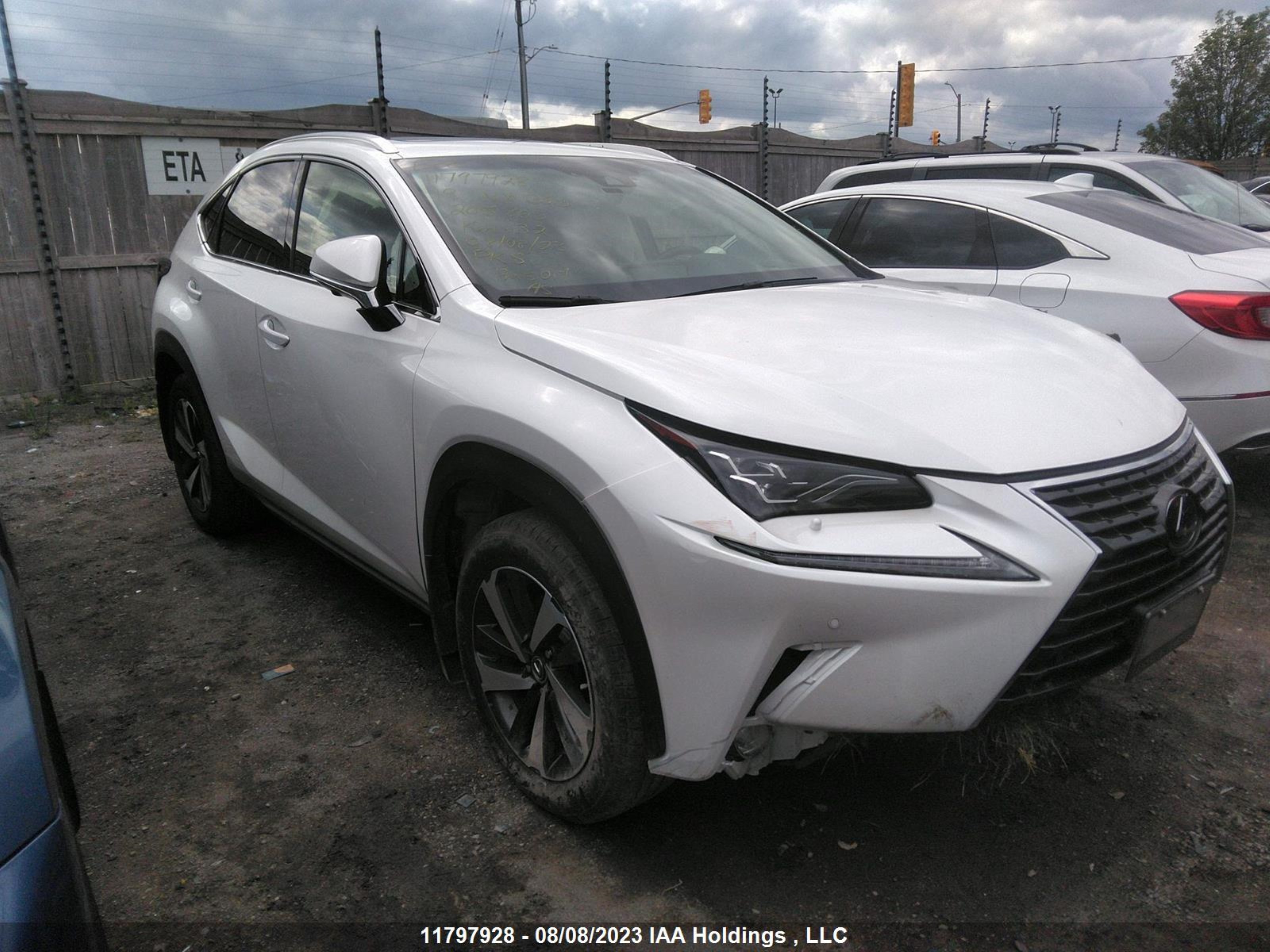 LEXUS NX 2019 jtjbarbz6k2205865