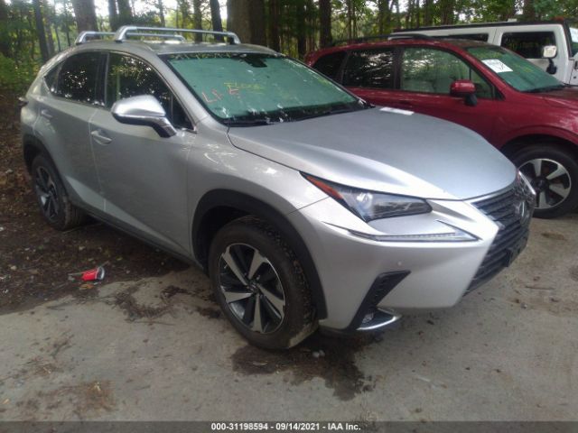 LEXUS NX 2019 jtjbarbz6k2217420