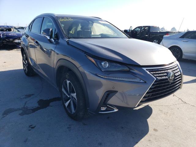 LEXUS NX 300 BAS 2019 jtjbarbz7k2185500