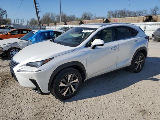 LEXUS NX 300 BAS 2019 jtjbarbz7k2195153