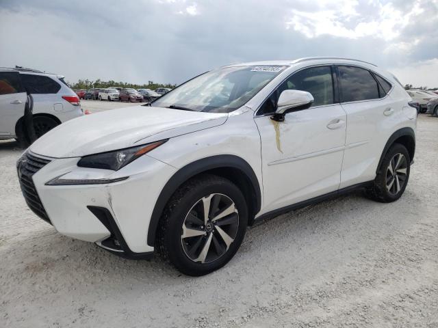 LEXUS NX 300 BAS 2019 jtjbarbz7k2197503