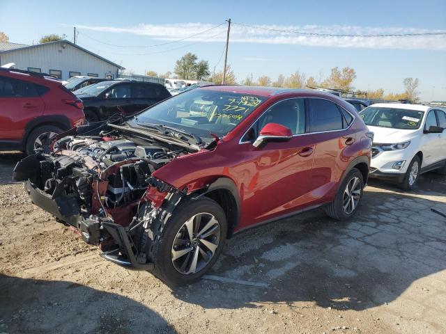 LEXUS NX 300 BAS 2019 jtjbarbz7k2207771