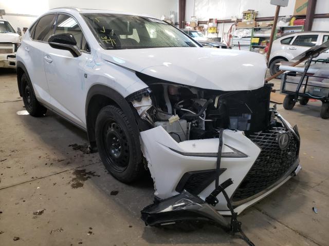 LEXUS NX 300 BAS 2019 jtjbarbz7k2208418