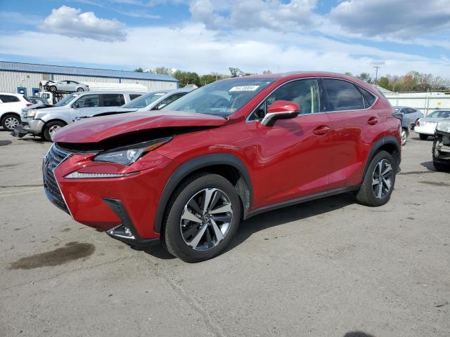 LEXUS NX 300 BAS 2019 jtjbarbz7k2209794