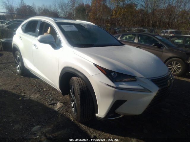 LEXUS NX 2019 jtjbarbz7k2210279