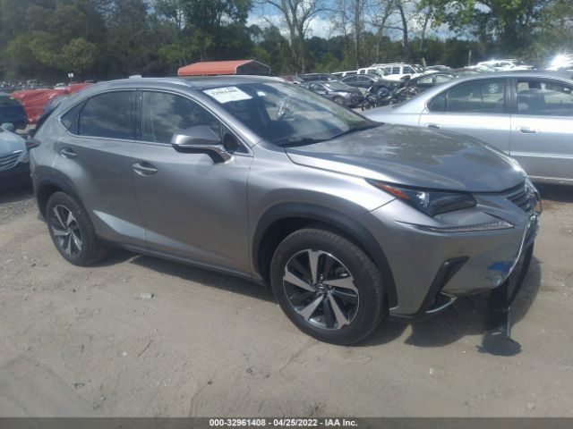 LEXUS NX 2019 jtjbarbz7k2210914