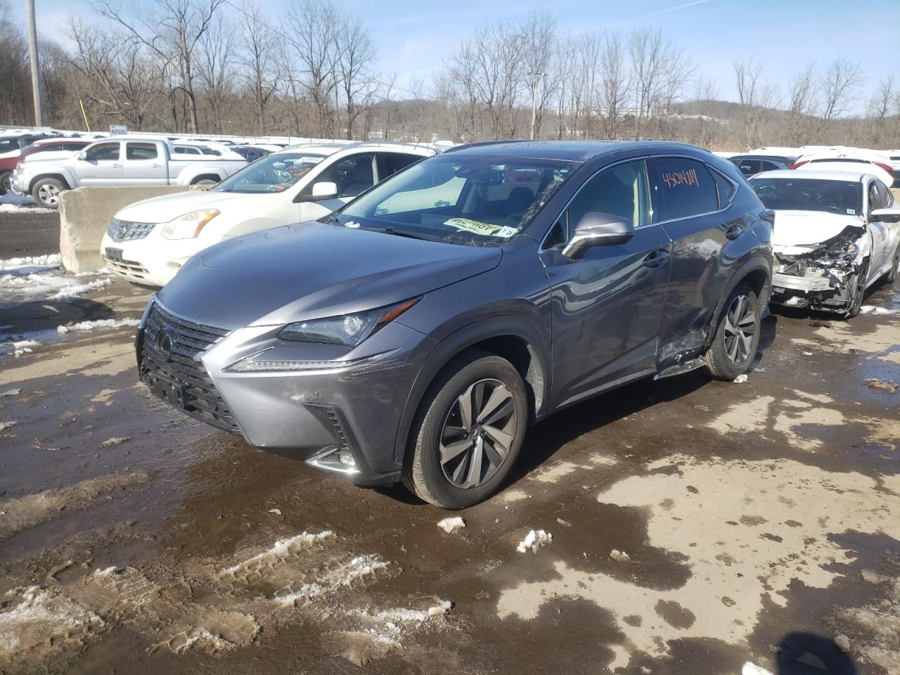 LEXUS NX 2019 jtjbarbz7k2216387