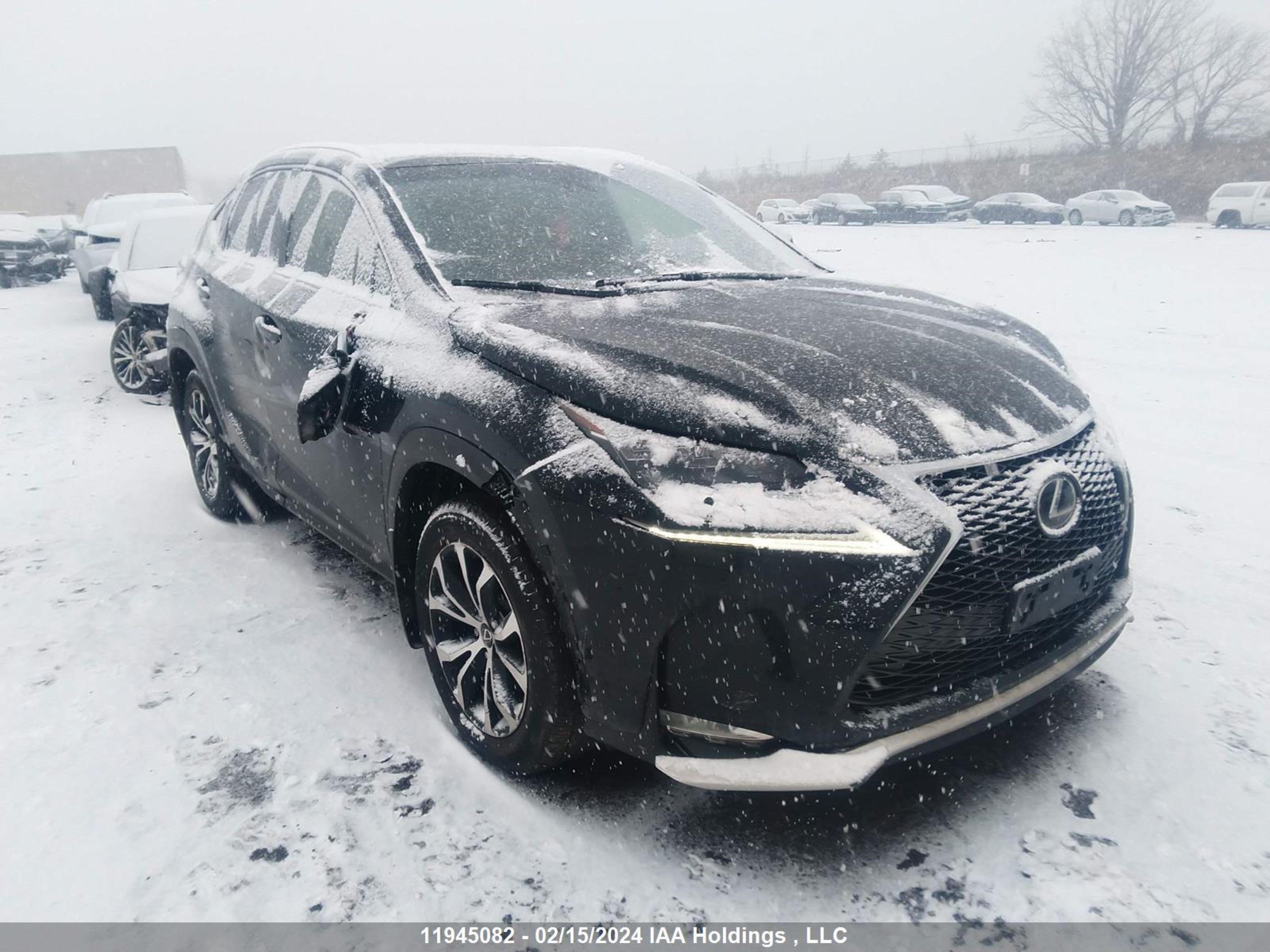 LEXUS NX 2015 jtjbarbz8f2013045