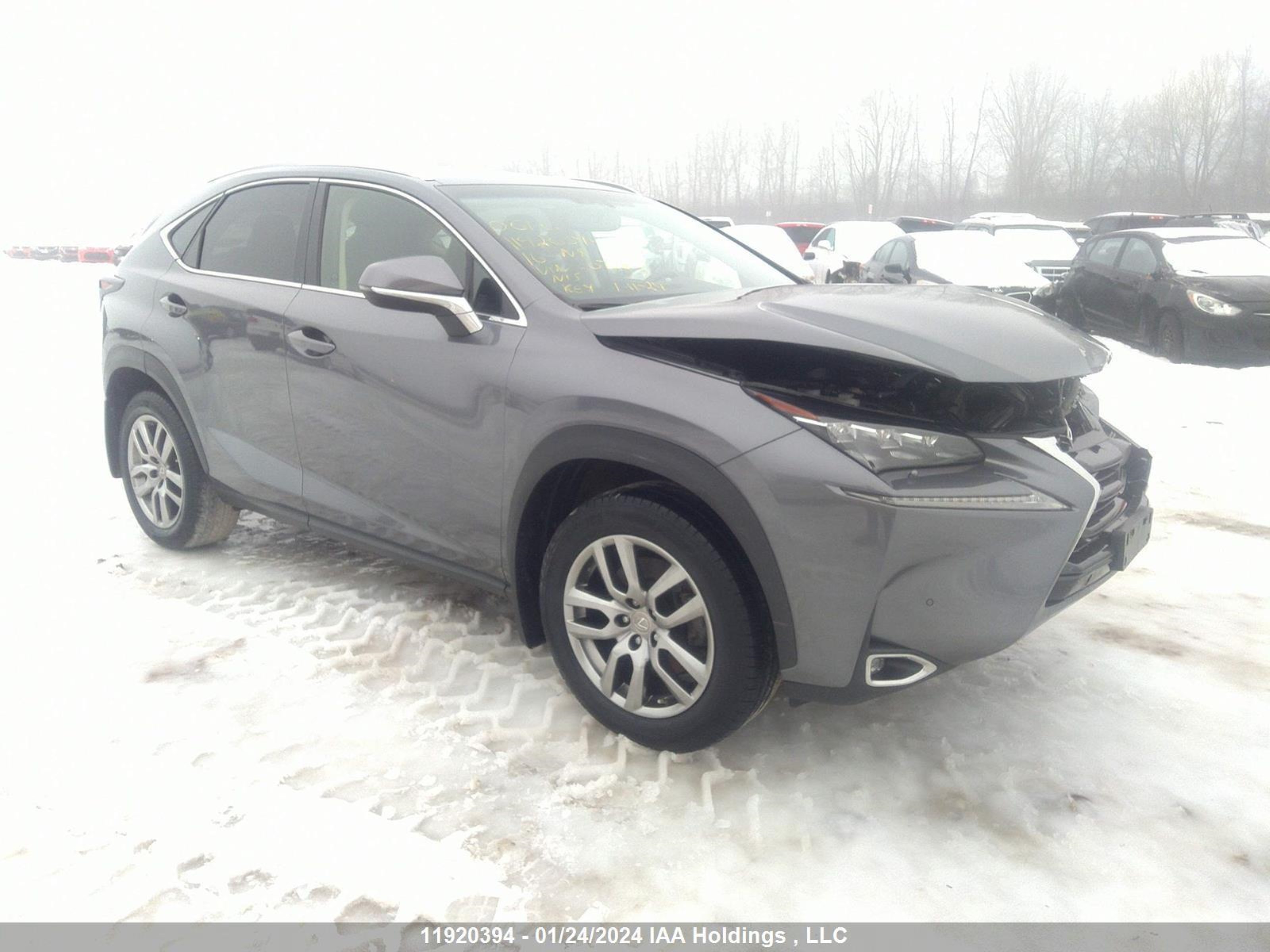 LEXUS NX 2016 jtjbarbz8g2072839