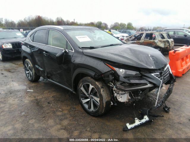 LEXUS NX 2018 jtjbarbz8j2176271