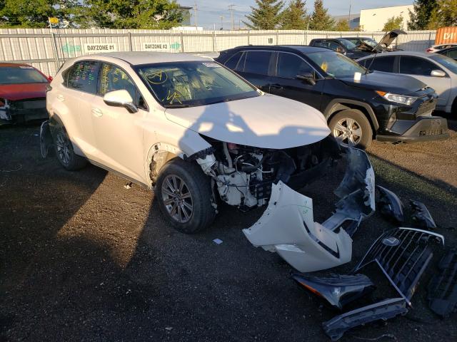 LEXUS NX 300 BAS 2019 jtjbarbz8k2183027