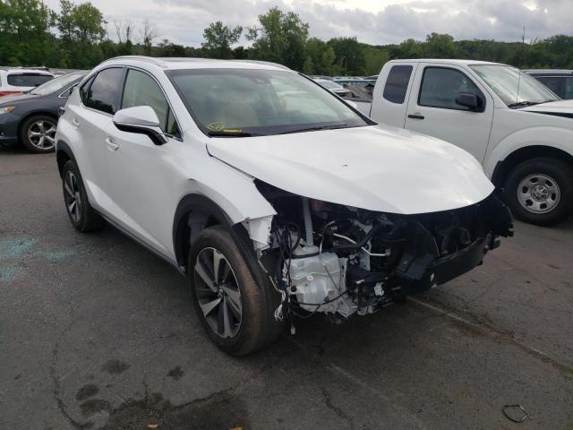 LEXUS NX 300 BAS 2019 jtjbarbz8k2183383