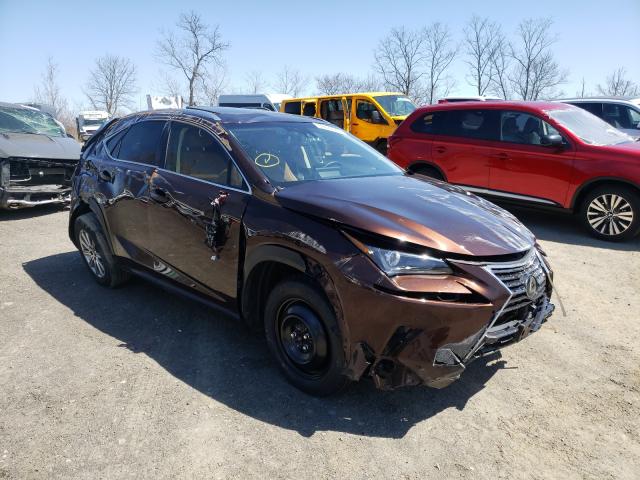 LEXUS NX 300 BAS 2019 jtjbarbz8k2189846