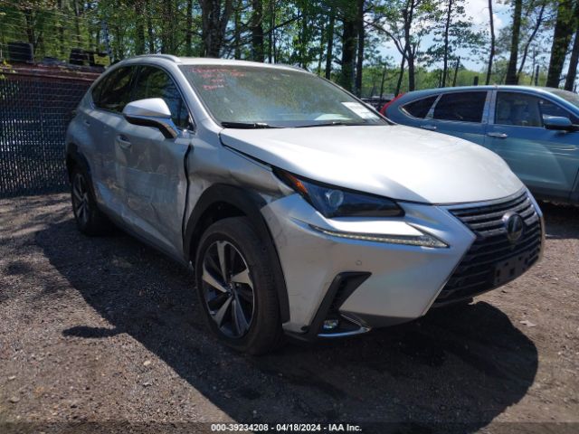 LEXUS NX 300 2019 jtjbarbz8k2190494