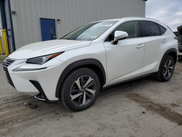 LEXUS NX 2019 jtjbarbz8k2190947