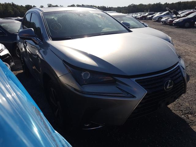 LEXUS NX 300 BAS 2019 jtjbarbz8k2196604