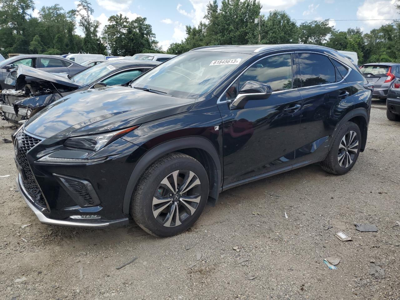 LEXUS NX 2019 jtjbarbz8k2196926