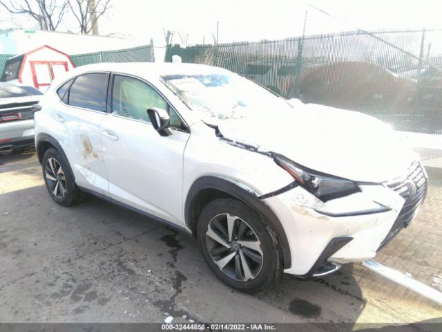 LEXUS NX 2019 jtjbarbz8k2203082