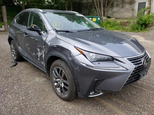 LEXUS NX 300 BAS 2019 jtjbarbz8k2206581