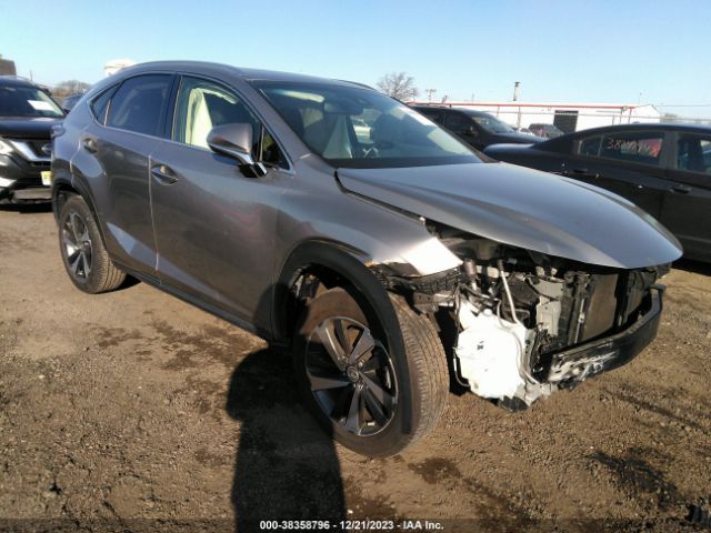 LEXUS NX 300 2019 jtjbarbz8k2214504