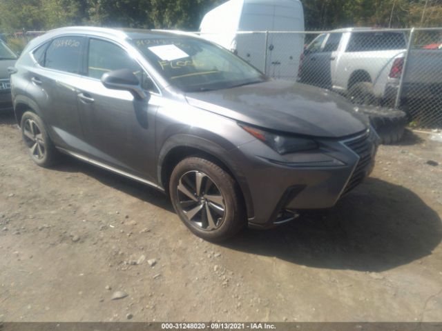 LEXUS NX 2019 jtjbarbz8k2217256