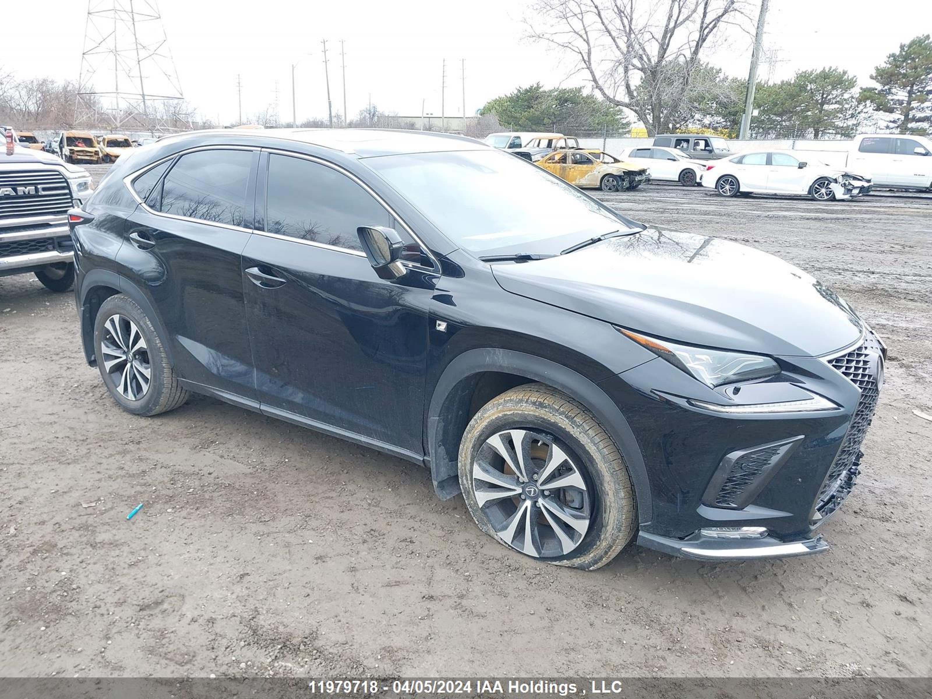 LEXUS NX 2019 jtjbarbz9k2181593