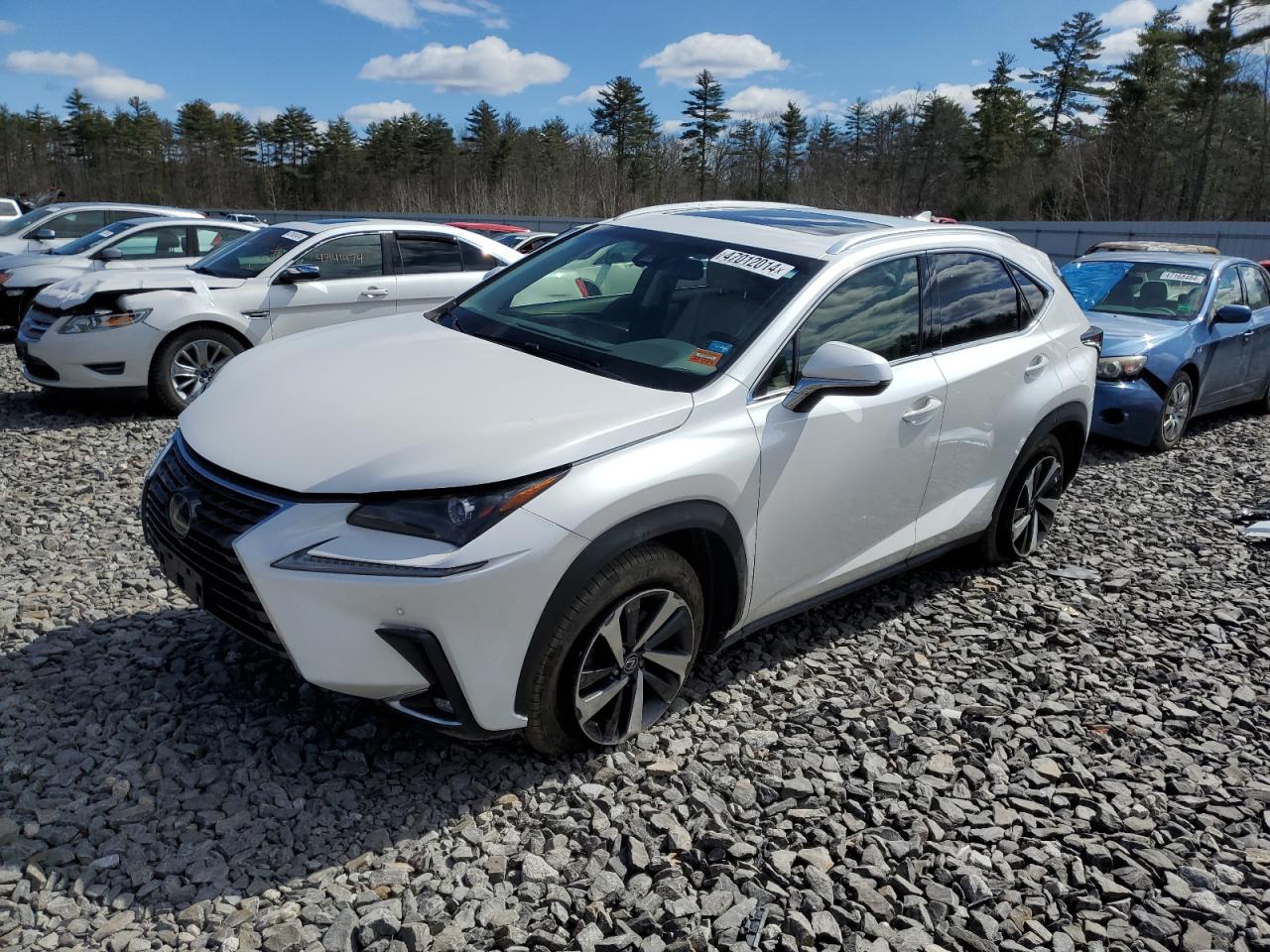 LEXUS NX 2019 jtjbarbz9k2183490