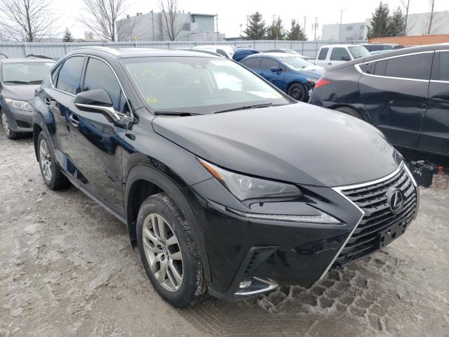 LEXUS NULL 2019 jtjbarbz9k2187930