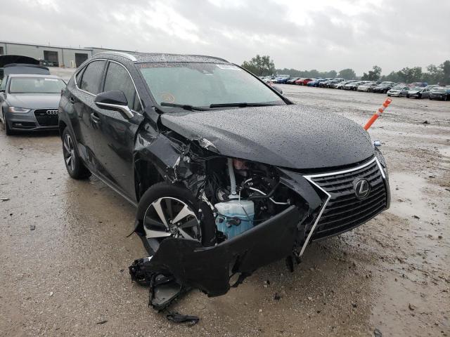 LEXUS NX 300 BAS 2019 jtjbarbz9k2188236