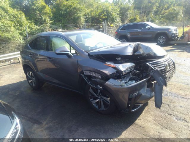 LEXUS NX 2019 jtjbarbz9k2188852