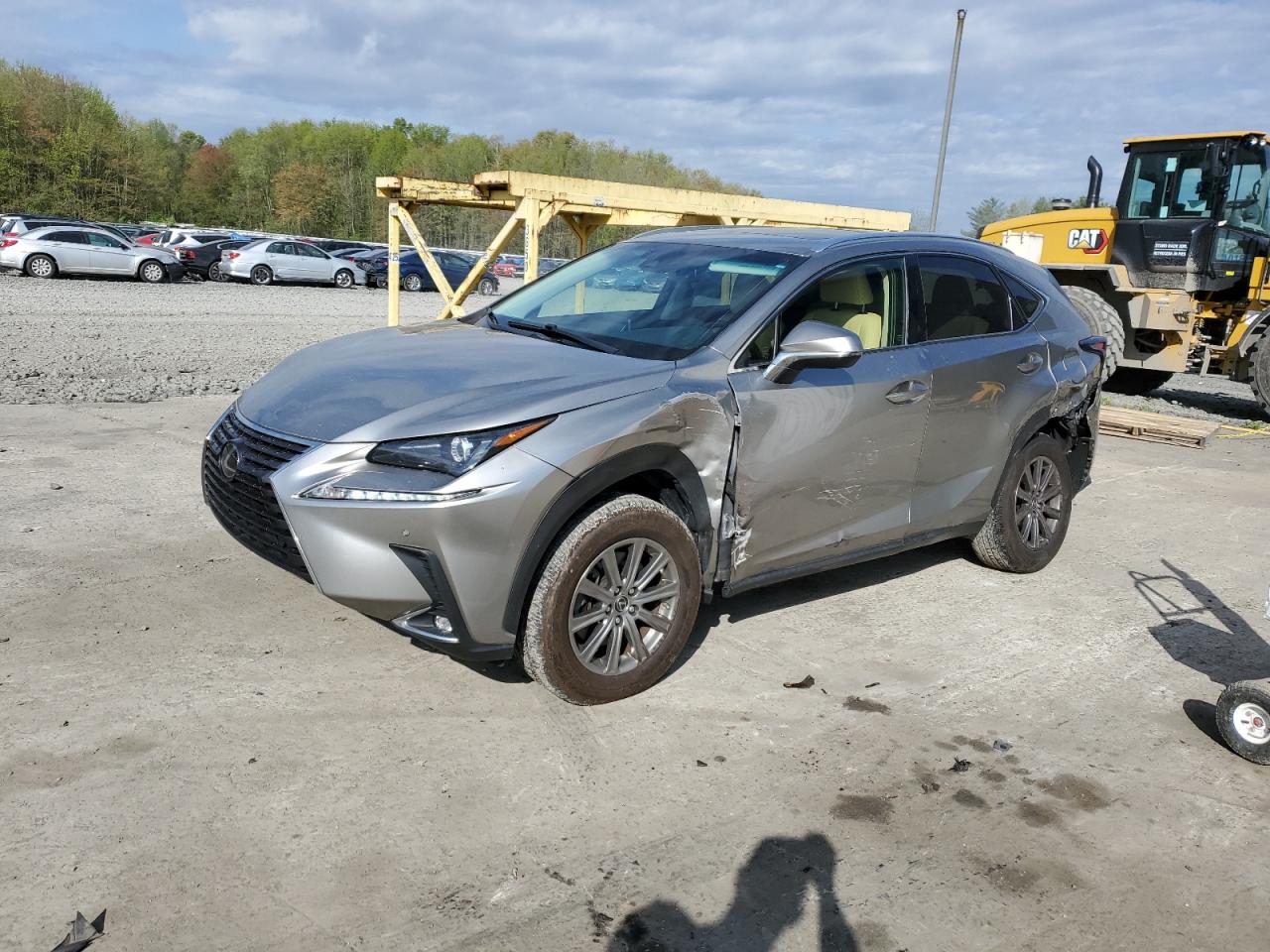 LEXUS NX 2019 jtjbarbz9k2193968