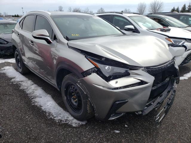 LEXUS NX 300 BAS 2019 jtjbarbz9k2207271