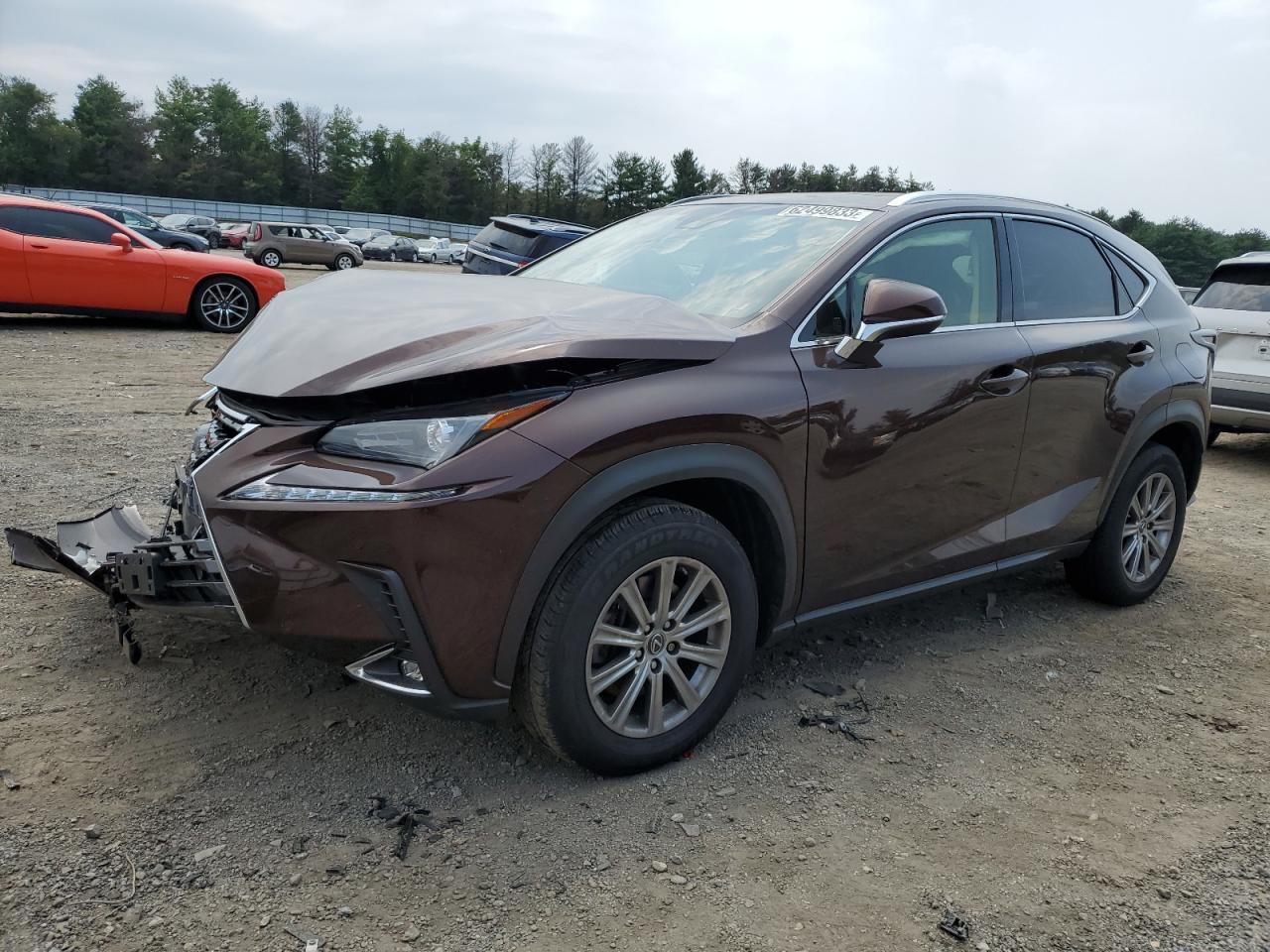 LEXUS NX 2019 jtjbarbz9k2209585