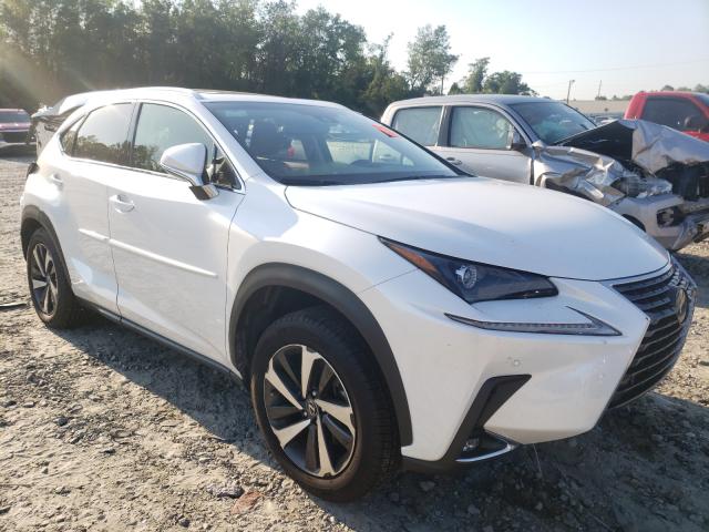 LEXUS NX 300 BAS 2019 jtjbarbz9k2211871