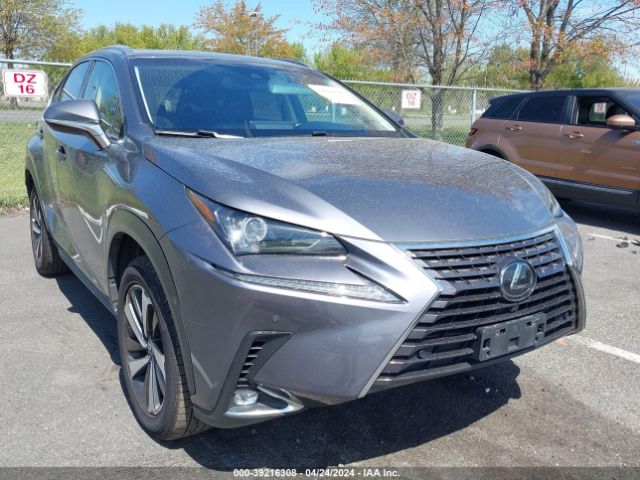 LEXUS NX 300 2019 jtjbarbzxk2180579