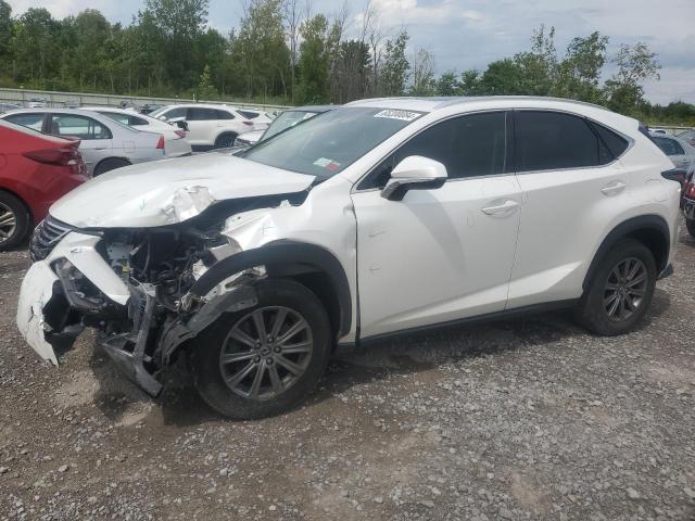 LEXUS NX 300 BAS 2019 jtjbarbzxk2180789