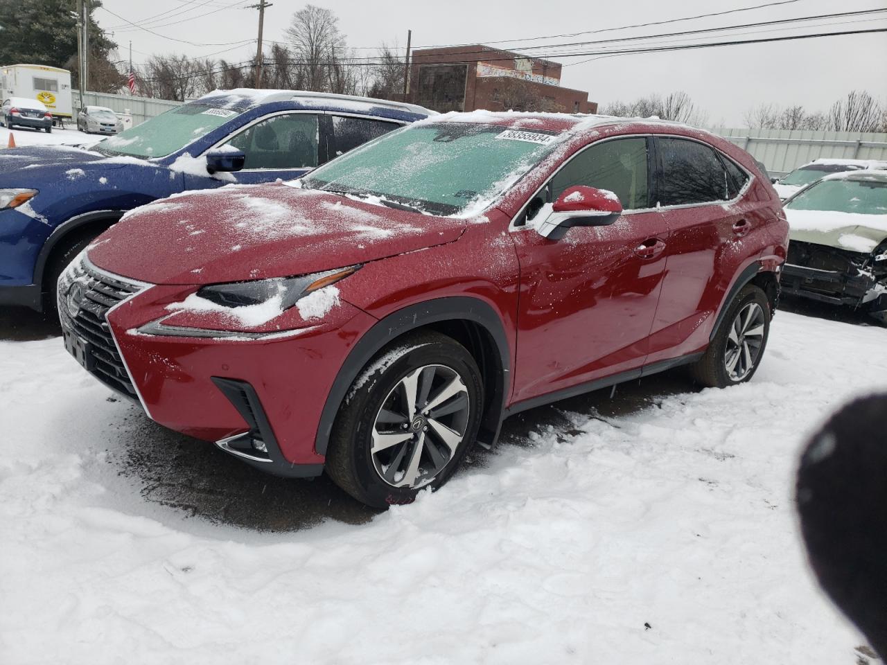 LEXUS NX 2019 jtjbarbzxk2182526