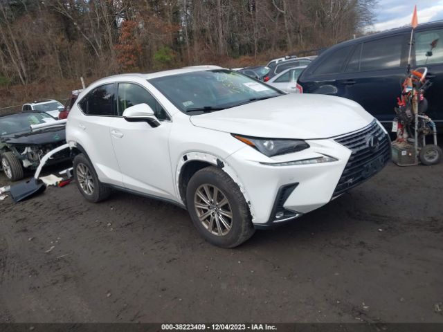 LEXUS NX 300 2019 jtjbarbzxk2184289