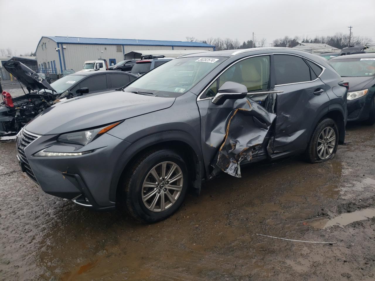 LEXUS NX 2019 jtjbarbzxk2188178