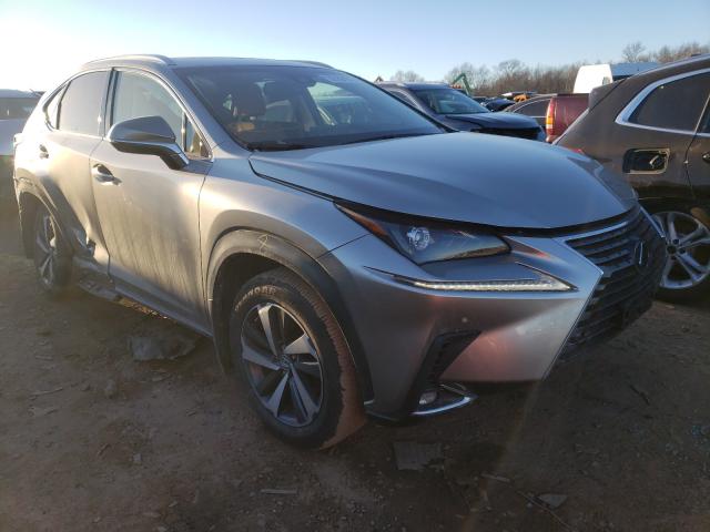 LEXUS NX 300 BAS 2019 jtjbarbzxk2194837