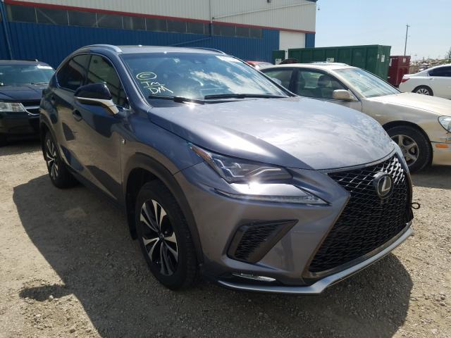 LEXUS NX 300 BAS 2019 jtjbarbzxk2201186