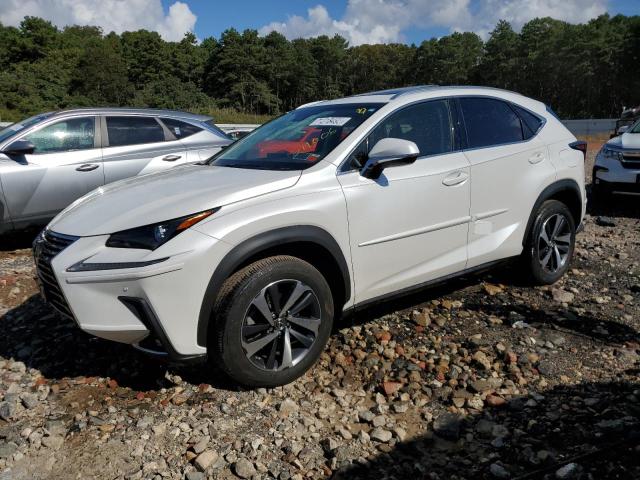 LEXUS NX 2019 jtjbarbzxk2211006